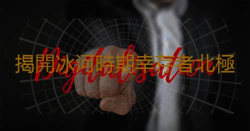 揭開冰河時期幸存者北極狼的神秘麵紗